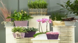 虹越德國進口高檔陶制套盆SK厄瓜多爾系列花盆