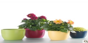 德國進口高檔陶制套盆SK巴塞爾啞光14/13花盆