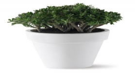 荷蘭進(jìn)口塑料花盆愛好花盆pure寬邊圓型花盆50(可自打孔）