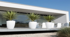 荷蘭進(jìn)口塑料花盆愛好花盆pure高圓筒型花盆40